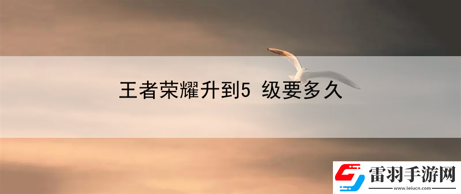 王者榮耀升到5級要多久