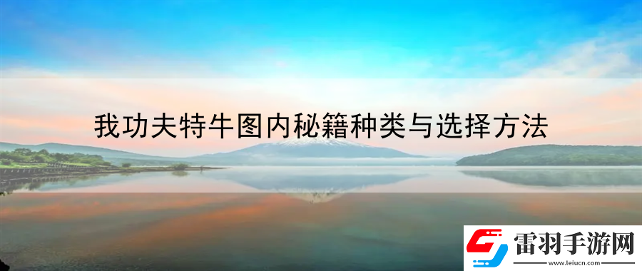 我功夫特牛圖內秘籍種類與選擇方法