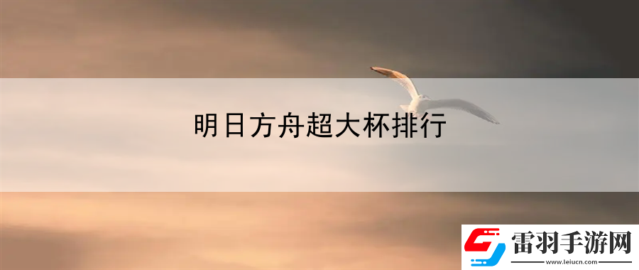 明日方舟超大杯排行