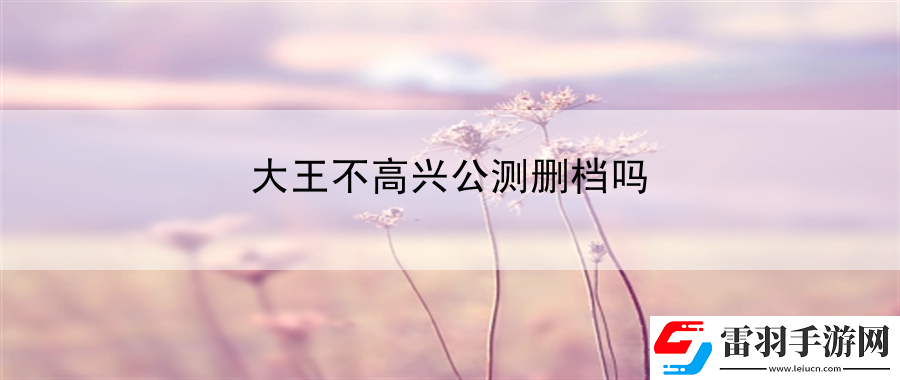 大王不高興公測刪檔嗎