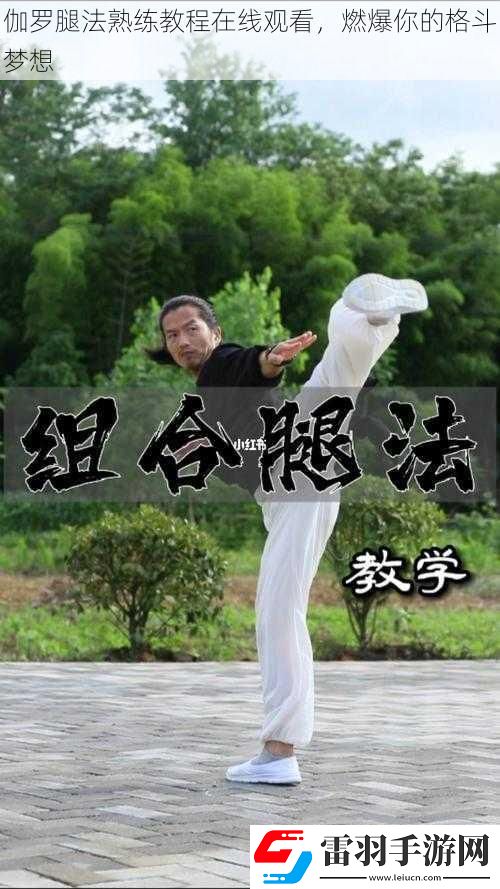 伽羅腿法熟練教程在線觀看