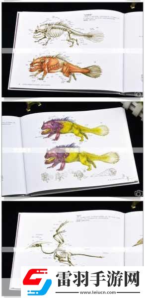 飛躍星球基礎教程