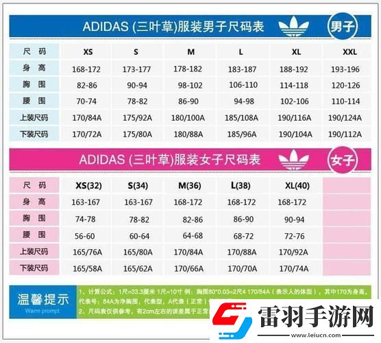 “三葉草”編碼風云