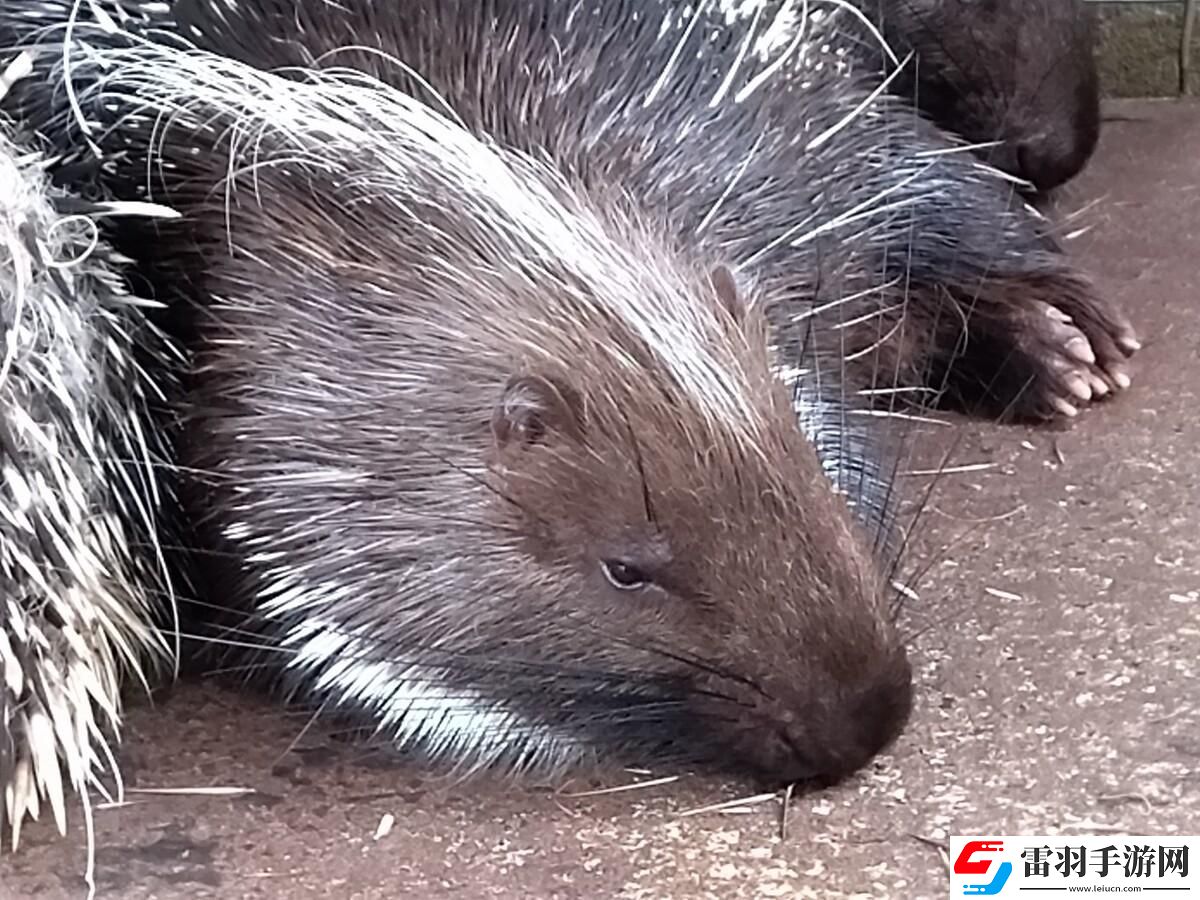 鐚薊閽誨ご鏃跺皻鏂版疆嫻侊紝縐戞妧鐣岀殑鎼炵瑧鎷呭綋