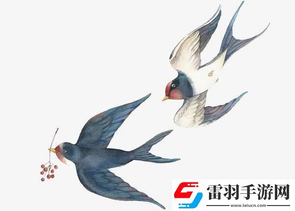 佩燕子是哪個地區人的習俗