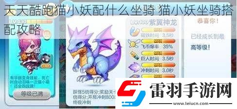 天天酷跑貓小妖配什么坐騎