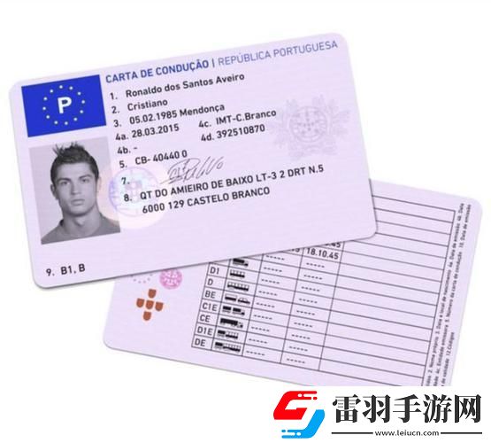 葡萄牙護照顏色