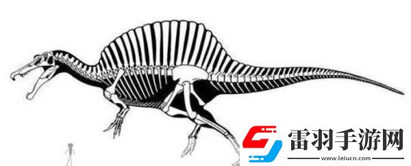 棘背龍怎么馴服棘背龍馴服方法