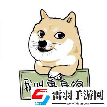 雙十一單身節到了請關愛身邊的單身狗