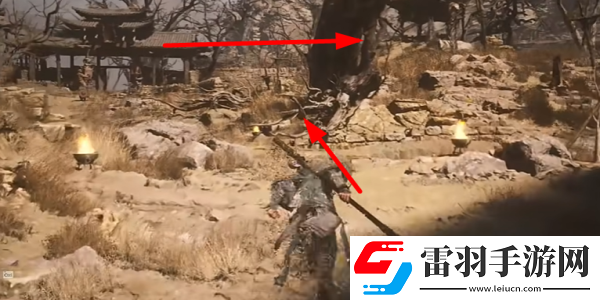 黑神話悟空梭羅瓊芽怎么獲得