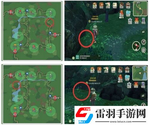 小森生活稀有甲蟲怎么抓捕