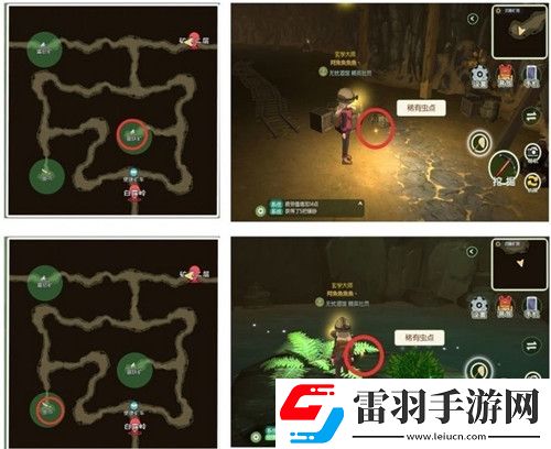 小森生活稀有甲蟲怎么抓捕