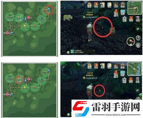 小森生活稀有甲蟲怎么抓捕