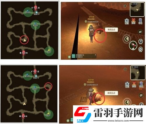 小森生活稀有甲蟲怎么抓捕