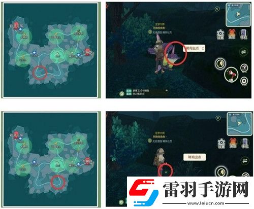 小森生活稀有甲蟲怎么抓捕