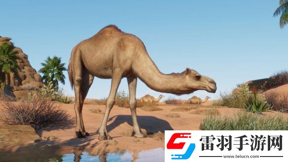 動物園之星新DLC“干旱動物”發售本體史低促銷中