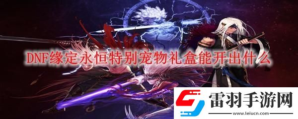 DNF緣定永恒特別寵物禮盒有什么