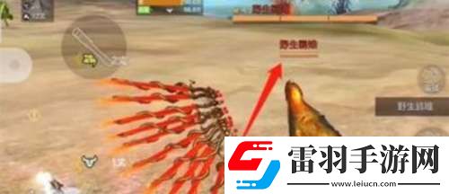 妄想山海野生雞在哪里妄想山海野生雞具體位置介紹