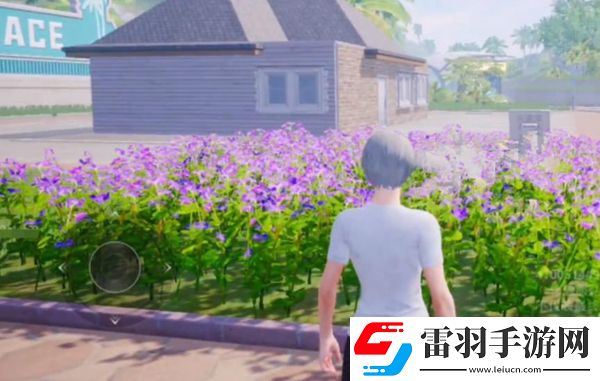 和平精英花圃種子在哪買