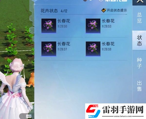 和平精英花圃種子在哪買