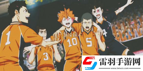 排球少年潛能套裝選哪個好