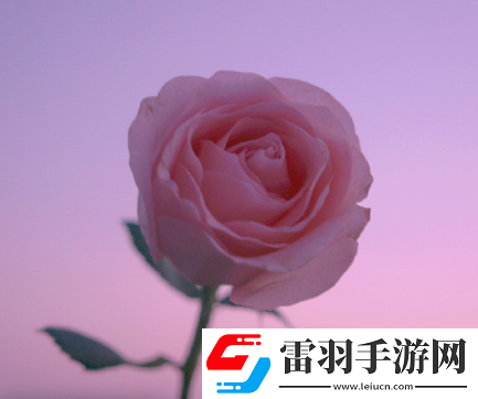 那些冷門(mén)而有韻味的簽名空山無(wú)人水流花開(kāi)