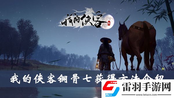 我的俠客銅骨七怎么獲得