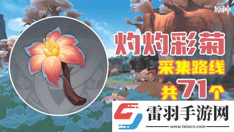 原神灼灼彩菊位置在哪里原神灼灼彩菊采集點采集路線詳解