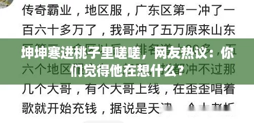 坤坤寒進桃子里嗟嗟