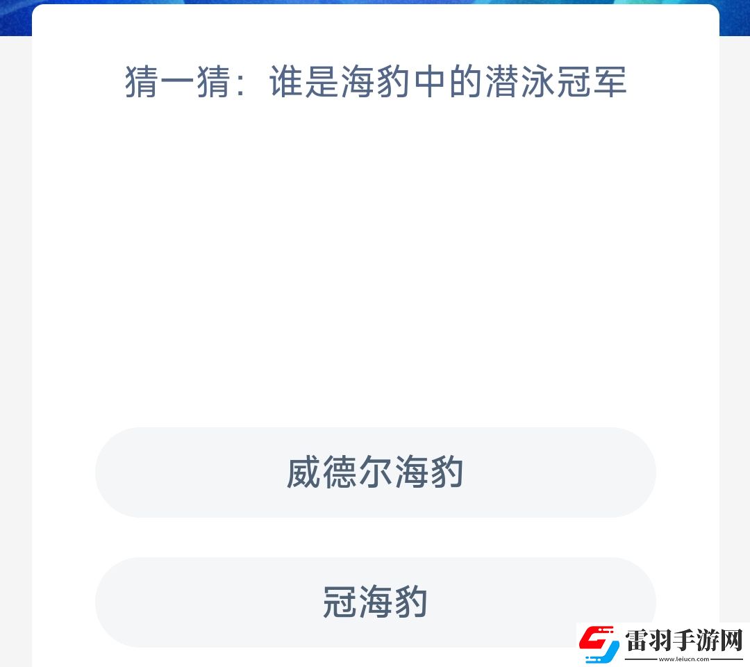 猜一猜誰是海豹中的潛泳冠軍