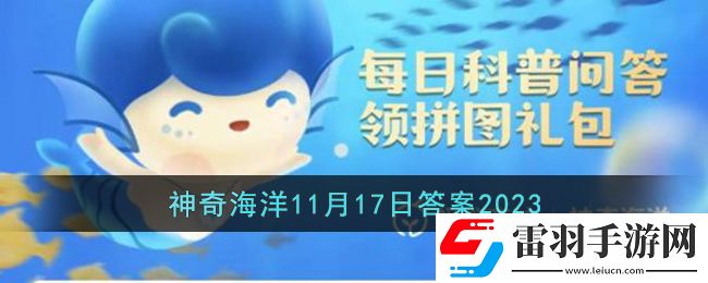 猜一猜誰是海豹中的潛泳冠軍