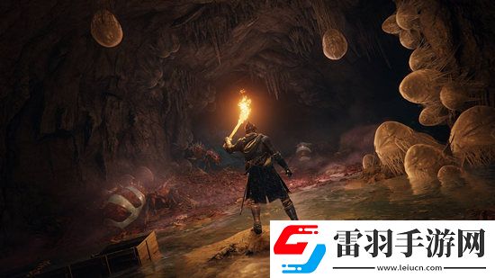 艾爾登法環地圖打開攻略