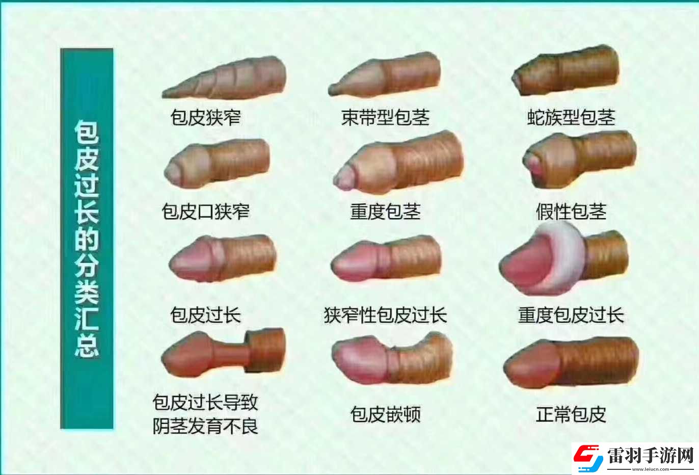 25歲后的‘小鳥放飛’