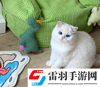 短小又精致的唯美簽名2023人見人愛的唯美簽名