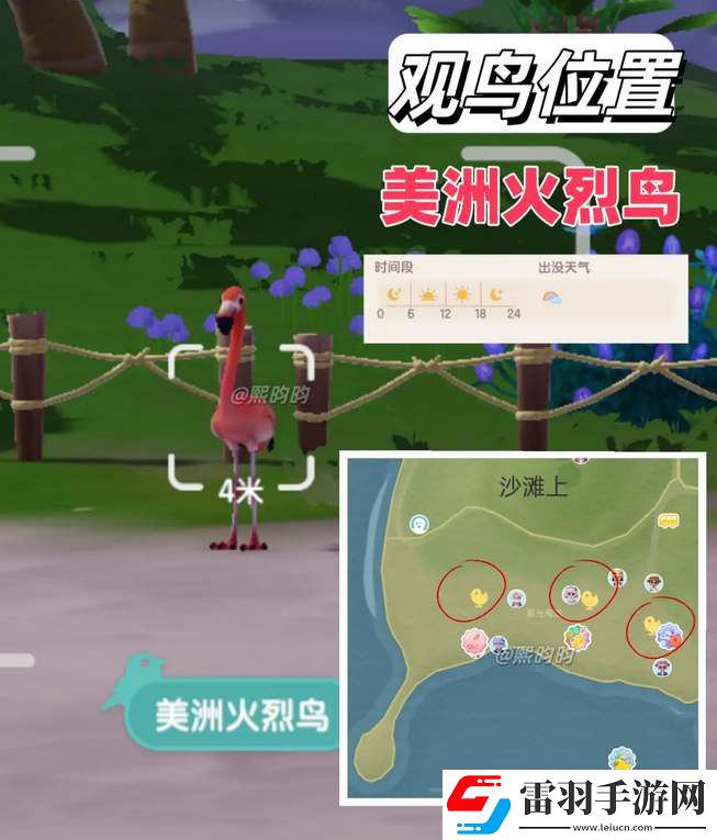 心動小鎮觀鳥9級具體位置攻略