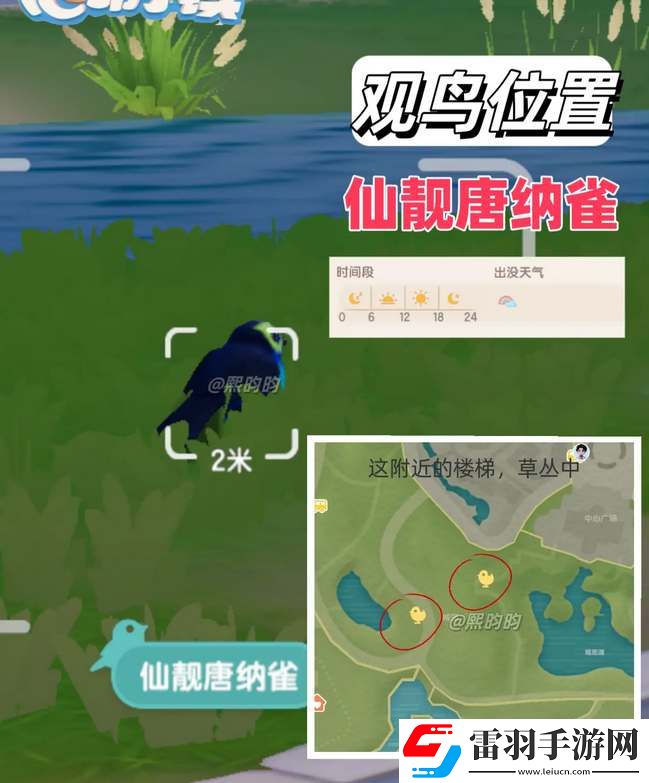 心動小鎮觀鳥9級具體位置攻略