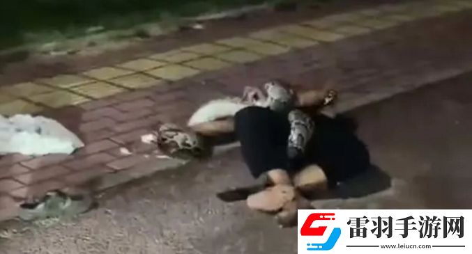 男子被超2米長(zhǎng)蟒蛇纏住