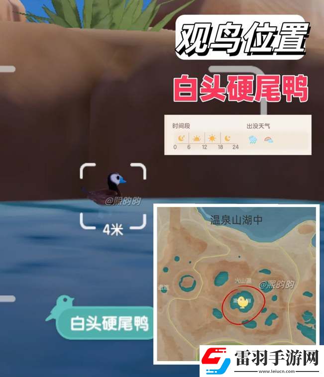 心動小鎮觀鳥9級具體位置攻略