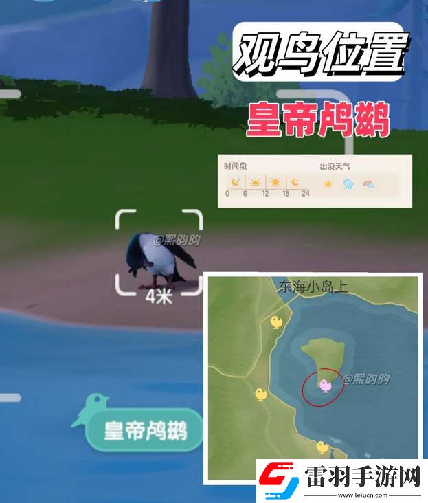 心動小鎮觀鳥9級具體位置攻略