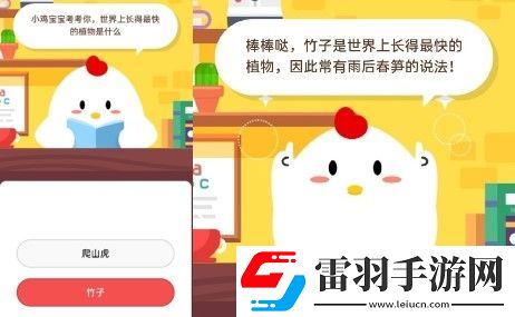 螞蟻莊園2020年5月26日答案螞蟻莊園小課堂今日答案更新匯總5.26