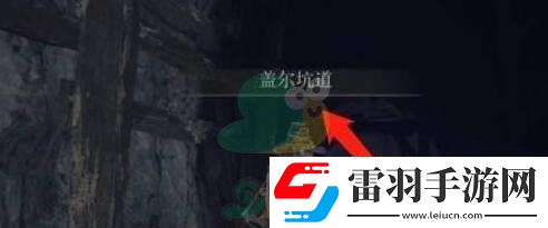 艾爾登法環名刀月影怎么才能獲得呢