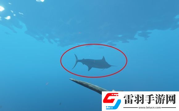 荒島求生新手入門玩法技巧匯總荒島求生怎么玩