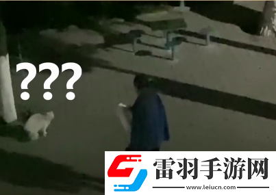 抖音做一只有禮貌的貓什么意思