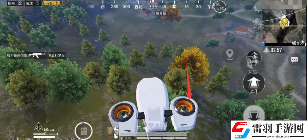 和平精英雙生樹打卡點位置