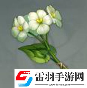 原神清心購買方法