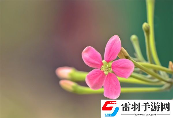 小掃貨水能么多叫出來骨科