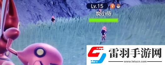 寶可夢朱紫回轉夢想家可購買食物及加成一覽