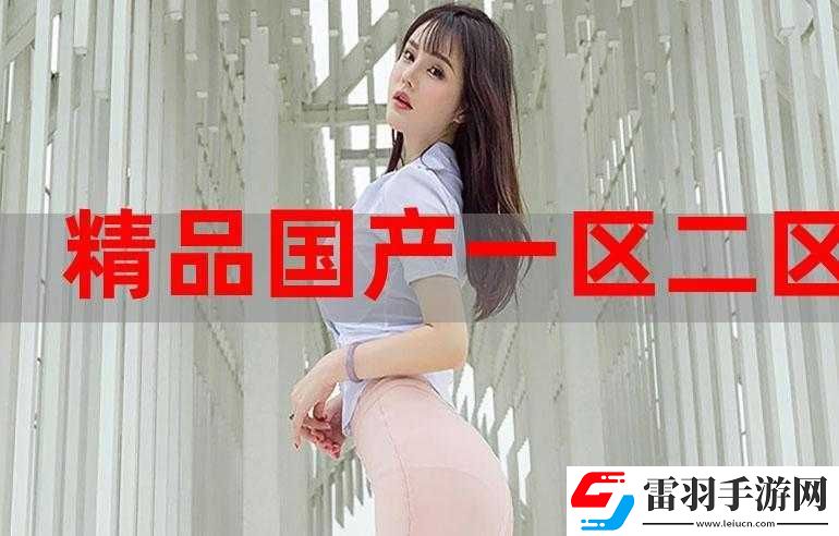 國精產品一二三區區別在哪背后的差異和奧秘