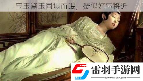 寶玉黛玉同塌而眠