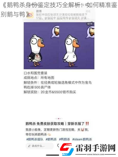 鵝鴨殺身份鑒定技巧全解析